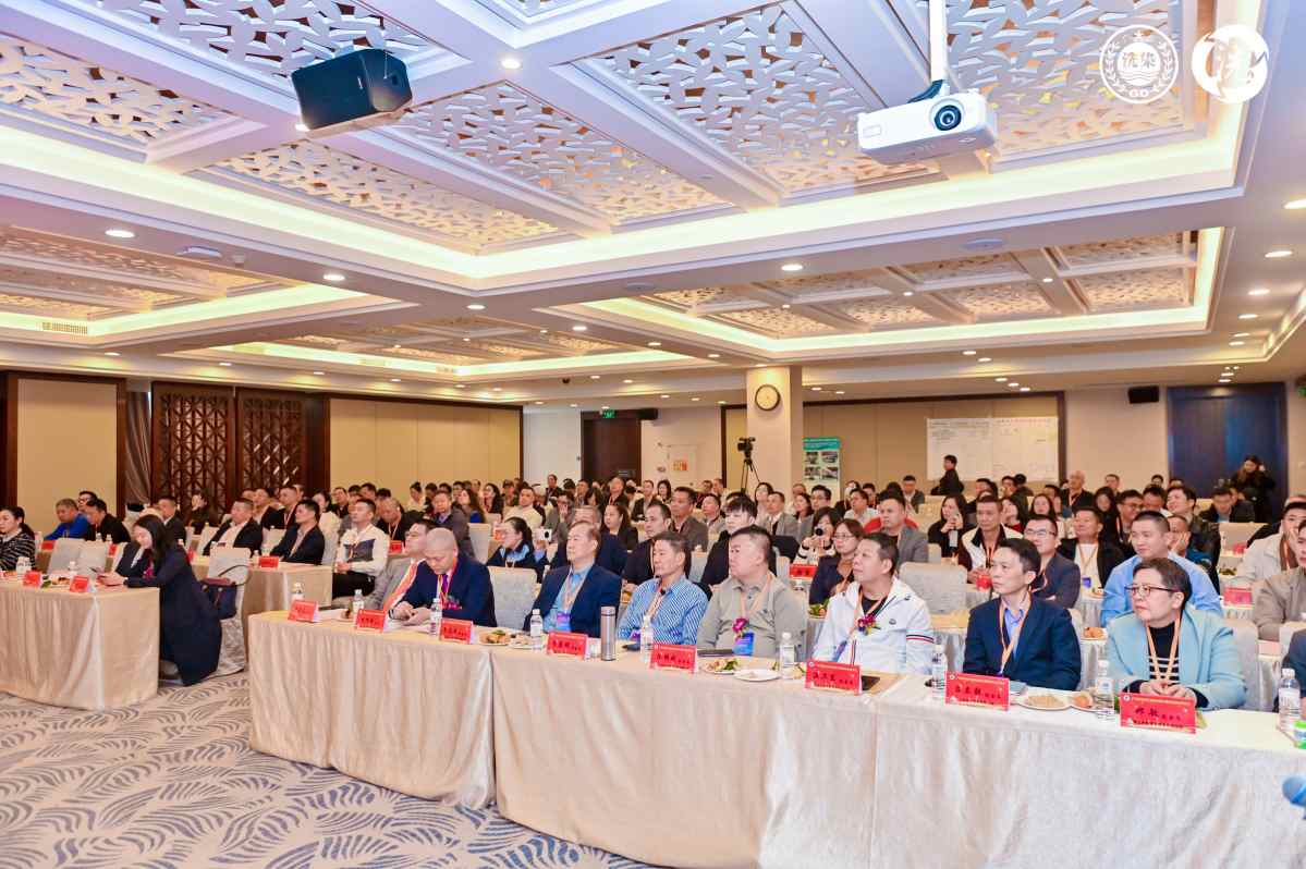 202601041338497647.jpg 202601041338497647.jpg